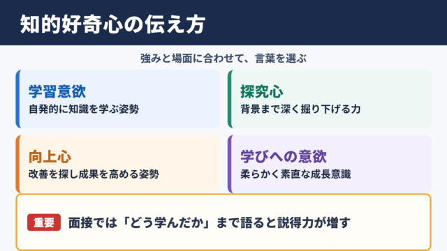 知的好奇心の言い換え一覧表とシーン別の使い分け